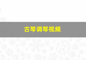 古琴调琴视频