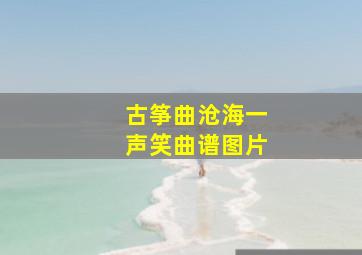 古筝曲沧海一声笑曲谱图片