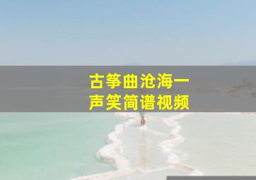 古筝曲沧海一声笑简谱视频