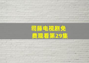 司藤电视剧免费观看第29集