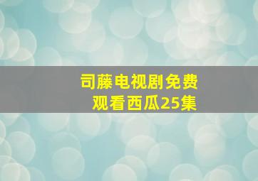 司藤电视剧免费观看西瓜25集