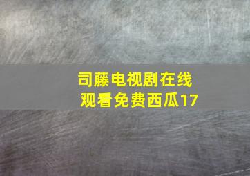 司藤电视剧在线观看免费西瓜17