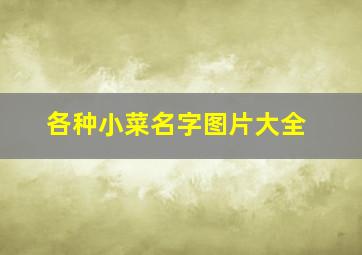 各种小菜名字图片大全