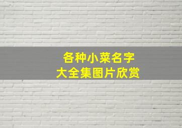 各种小菜名字大全集图片欣赏