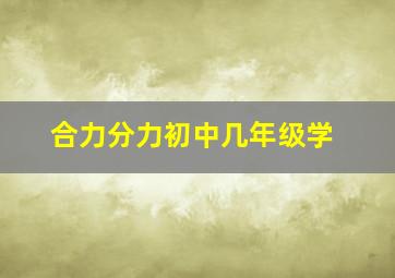 合力分力初中几年级学