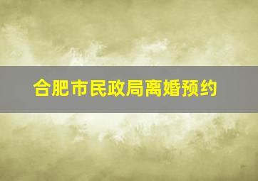 合肥市民政局离婚预约