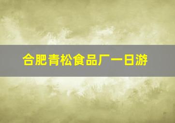 合肥青松食品厂一日游