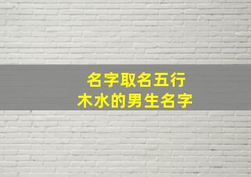 名字取名五行木水的男生名字