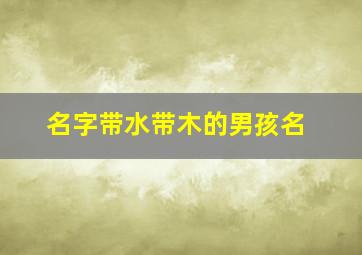 名字带水带木的男孩名