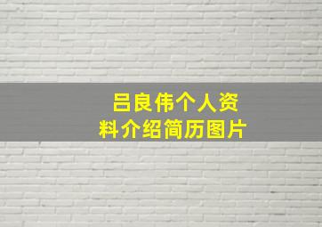 吕良伟个人资料介绍简历图片