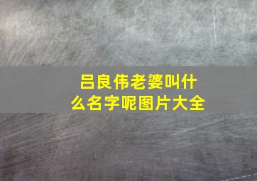 吕良伟老婆叫什么名字呢图片大全