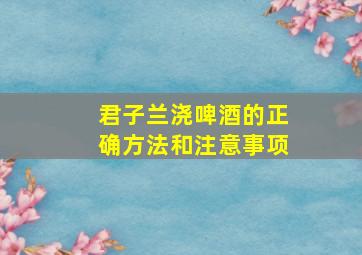 君子兰浇啤酒的正确方法和注意事项