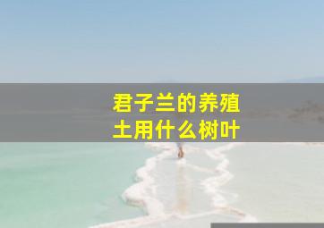 君子兰的养殖土用什么树叶