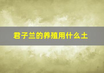 君子兰的养殖用什么土