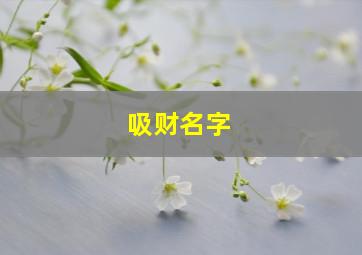 吸财名字