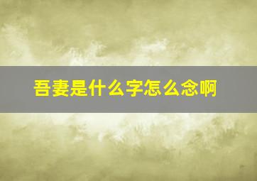 吾妻是什么字怎么念啊