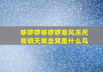 哆啰啰哆啰啰寒风冻死我明天就垒窝是什么鸟