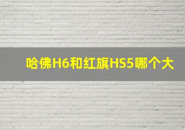 哈佛H6和红旗HS5哪个大