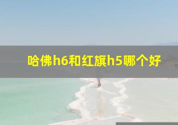 哈佛h6和红旗h5哪个好