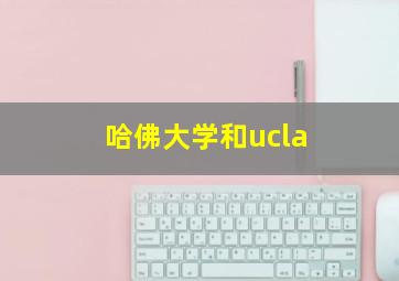 哈佛大学和ucla