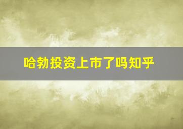 哈勃投资上市了吗知乎