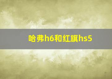 哈弗h6和红旗hs5