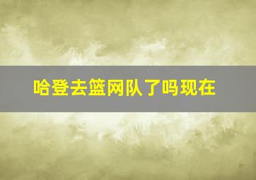 哈登去篮网队了吗现在