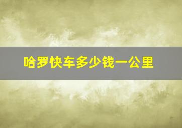 哈罗快车多少钱一公里