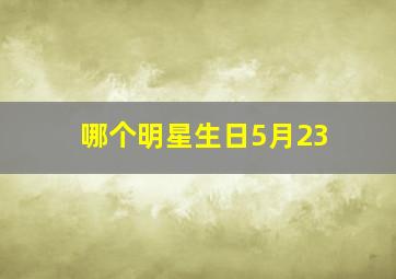 哪个明星生日5月23