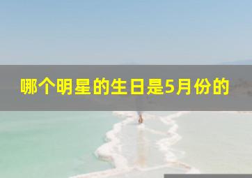 哪个明星的生日是5月份的