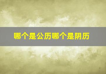 哪个是公历哪个是阴历