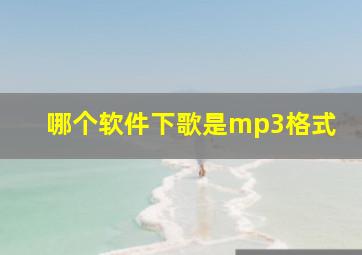 哪个软件下歌是mp3格式