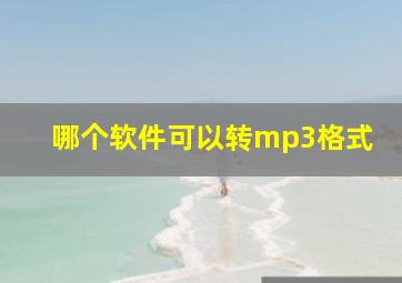 哪个软件可以转mp3格式