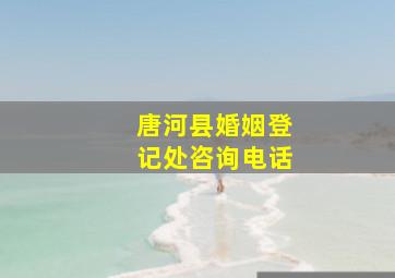 唐河县婚姻登记处咨询电话