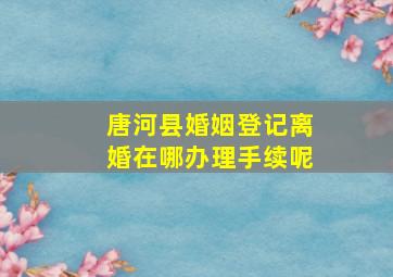 唐河县婚姻登记离婚在哪办理手续呢