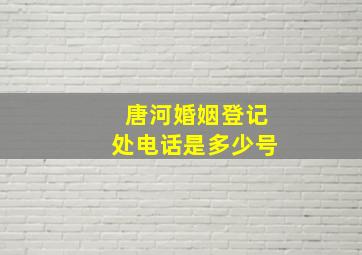 唐河婚姻登记处电话是多少号