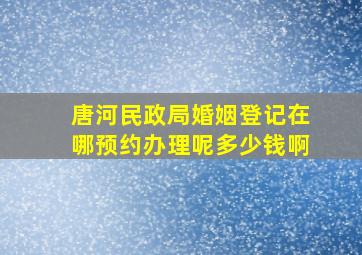 唐河民政局婚姻登记在哪预约办理呢多少钱啊