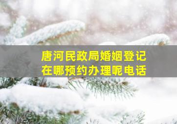 唐河民政局婚姻登记在哪预约办理呢电话