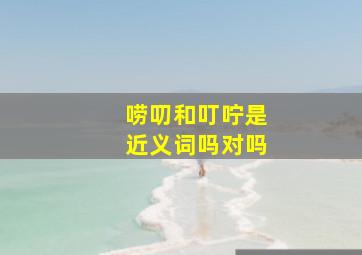 唠叨和叮咛是近义词吗对吗