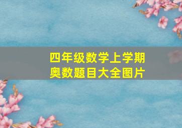 四年级数学上学期奥数题目大全图片