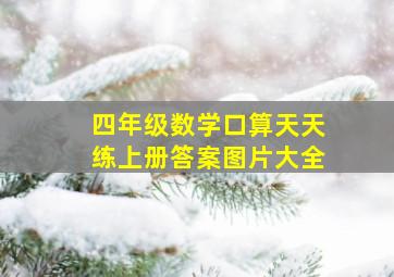 四年级数学口算天天练上册答案图片大全