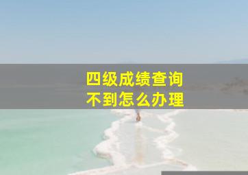 四级成绩查询不到怎么办理