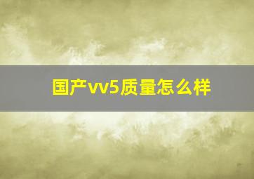 国产vv5质量怎么样