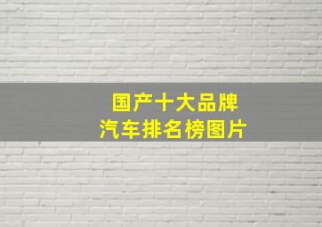 国产十大品牌汽车排名榜图片