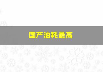 国产油耗最高