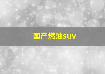 国产燃油suv