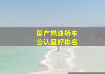 国产燃油轿车公认最好排名