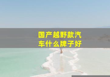 国产越野款汽车什么牌子好