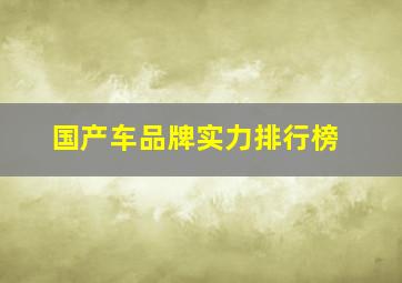 国产车品牌实力排行榜