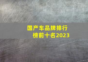 国产车品牌排行榜前十名2023